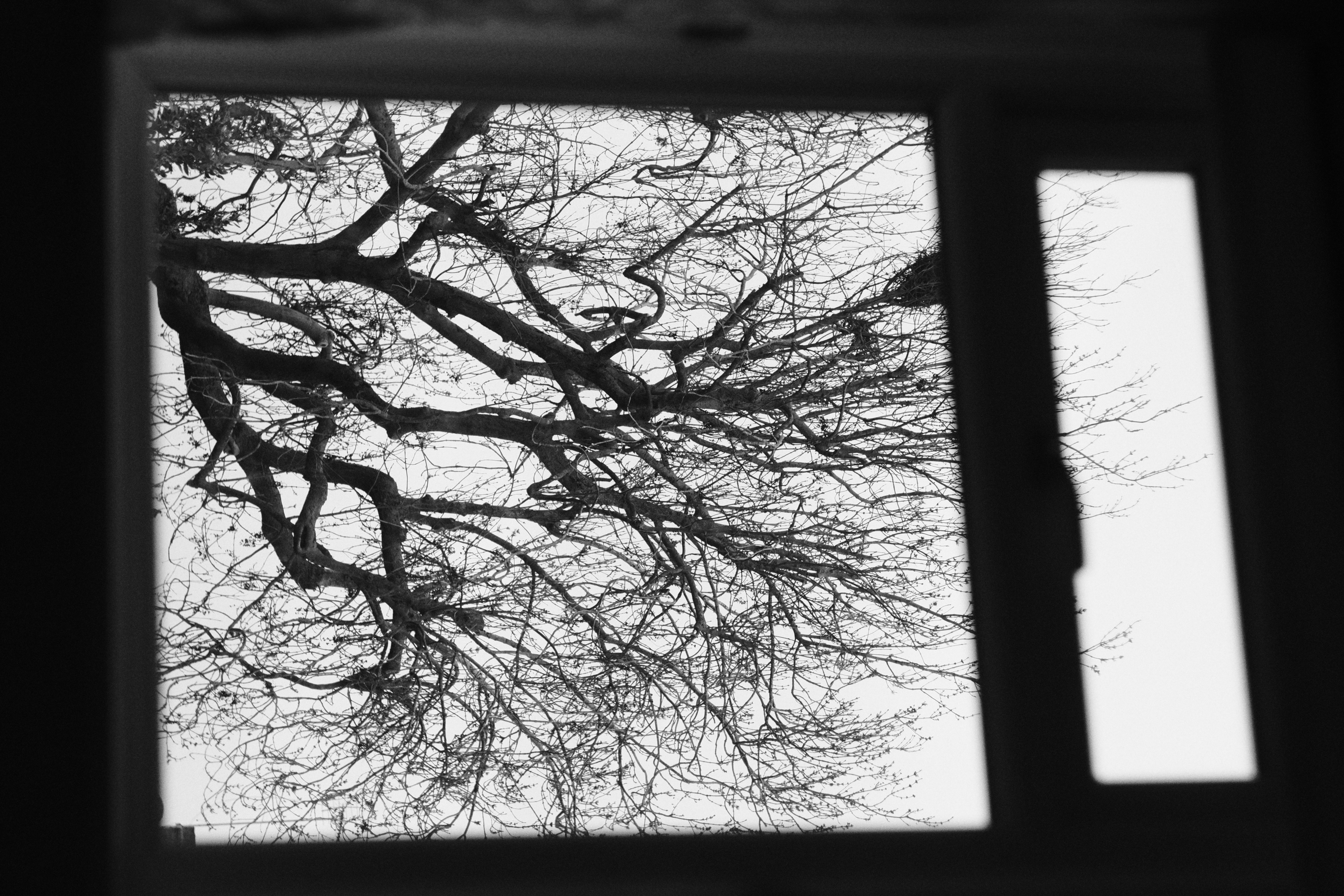 FujiFilm X-T20 + Helios 44-2