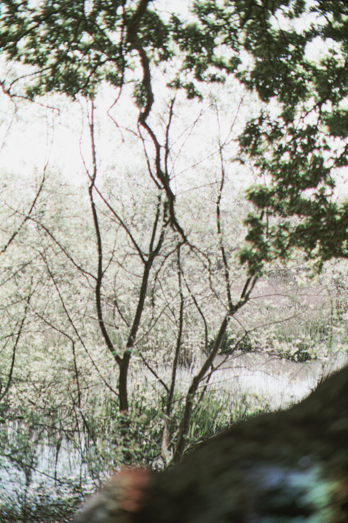 Lake 2