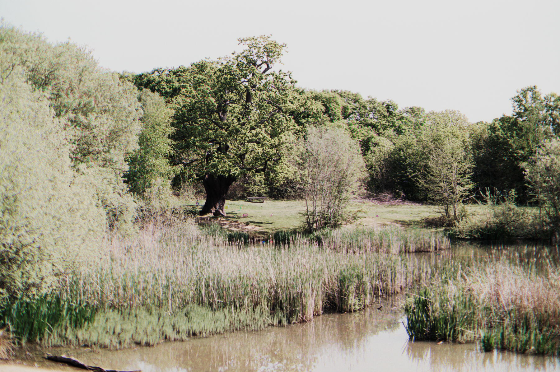Lake 3