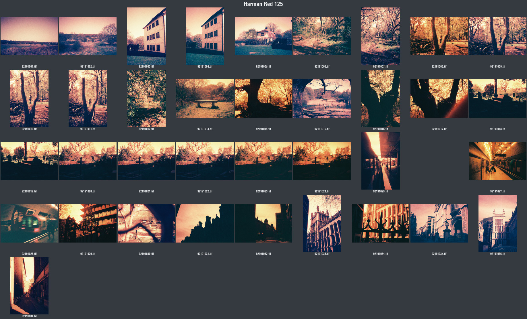 Harman Red 125 contact sheet